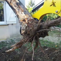 Doigt de manutention